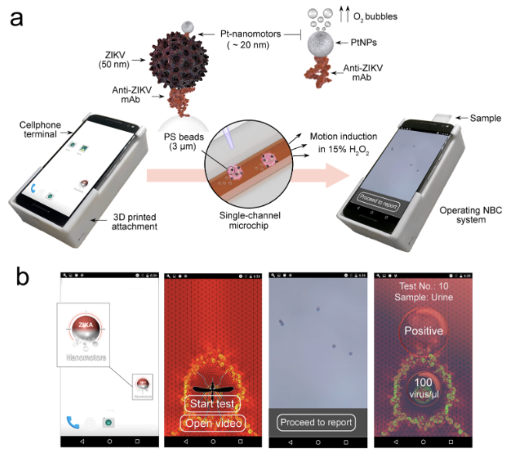 Catalytic Nanomotors 1