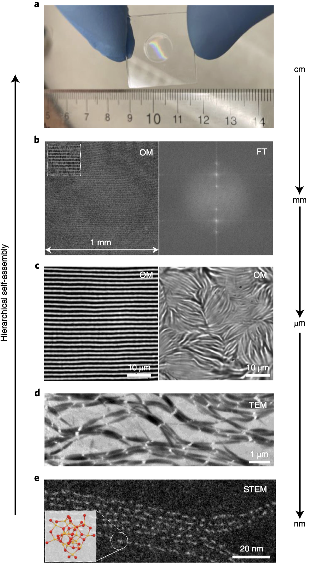 Hierarchical self-assembly1
