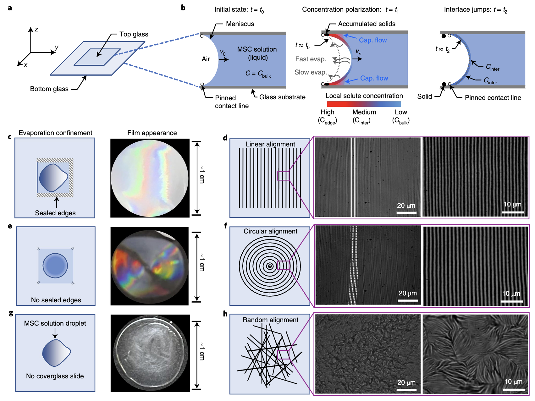 Hierarchical self-assembly2