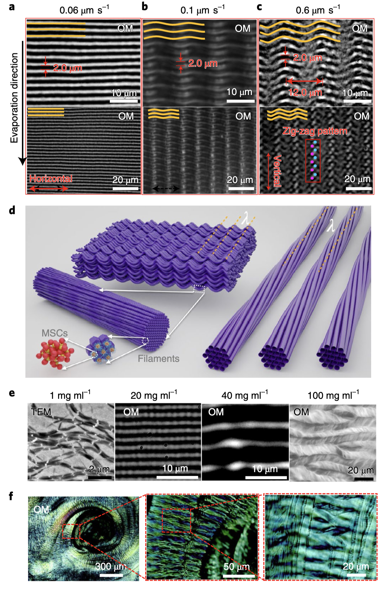 Hierarchical self-assembly3